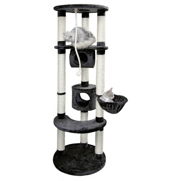 arbre a chat en hauteur